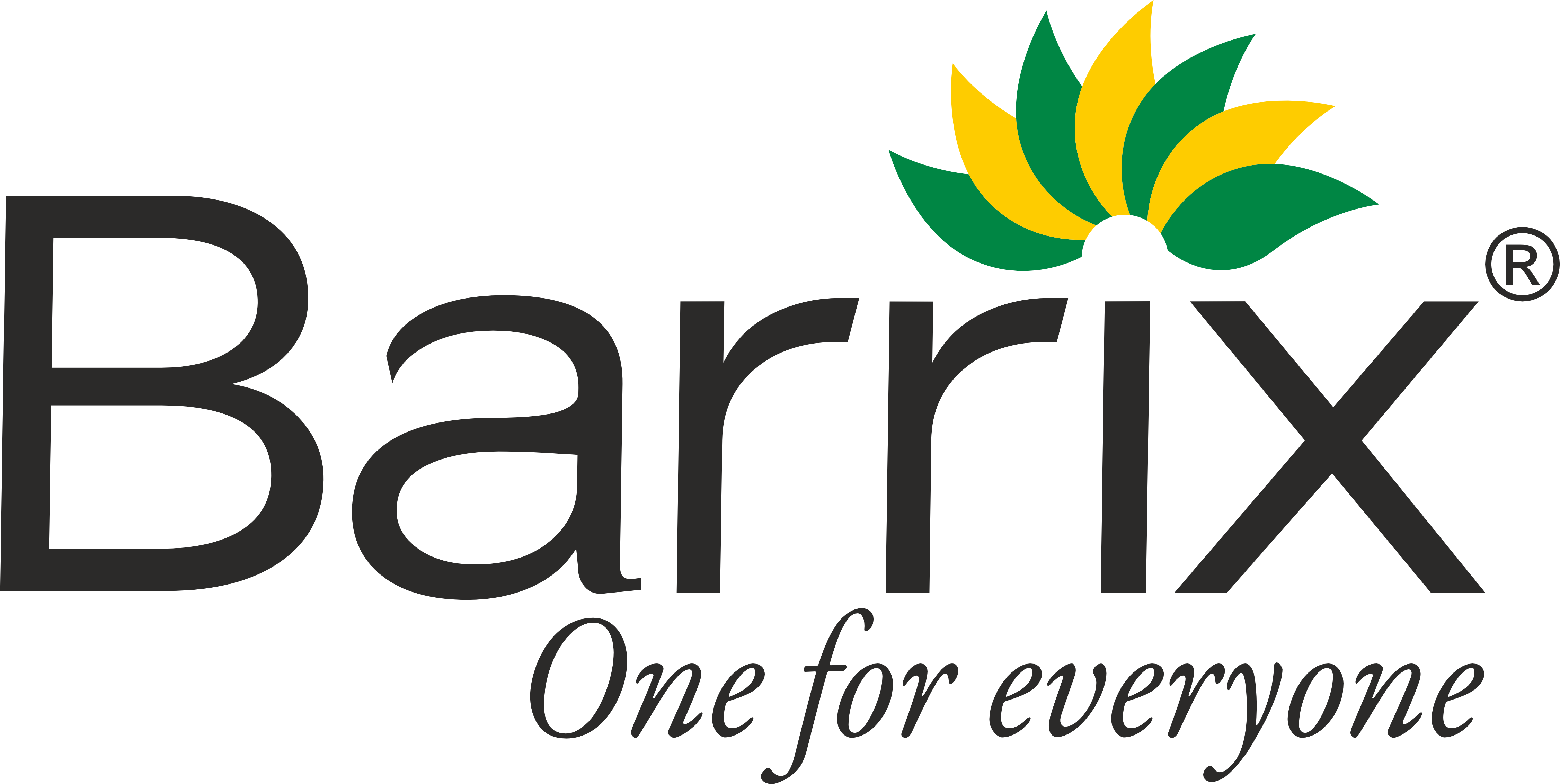Barrix Logo